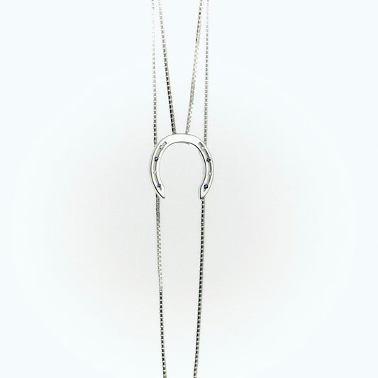 A delicate silver necklace with a horseshoe pendant, featuring small diamonds and sapphire blue stones embedded in the design. The chain is elegantly draped, with a clasp visible at the bottom, set against a light background.