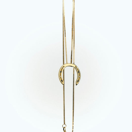 A delicate gold necklace with a horseshoe pendant, featuring small diamonds and sapphire stones embedded in the design. The chain is elegantly draped, with a clasp visible at the bottom, set against a light background.