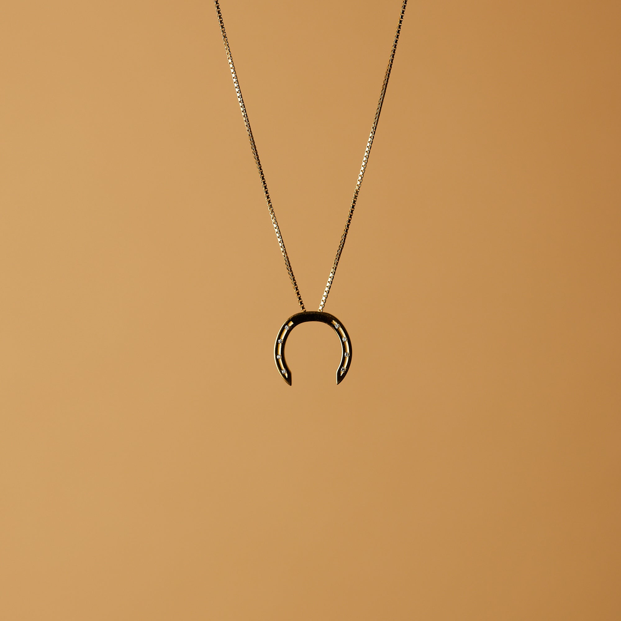 A delicate gold necklace with a horseshoe pendant, featuring small diamonds embedded in the holes, set against a light background.