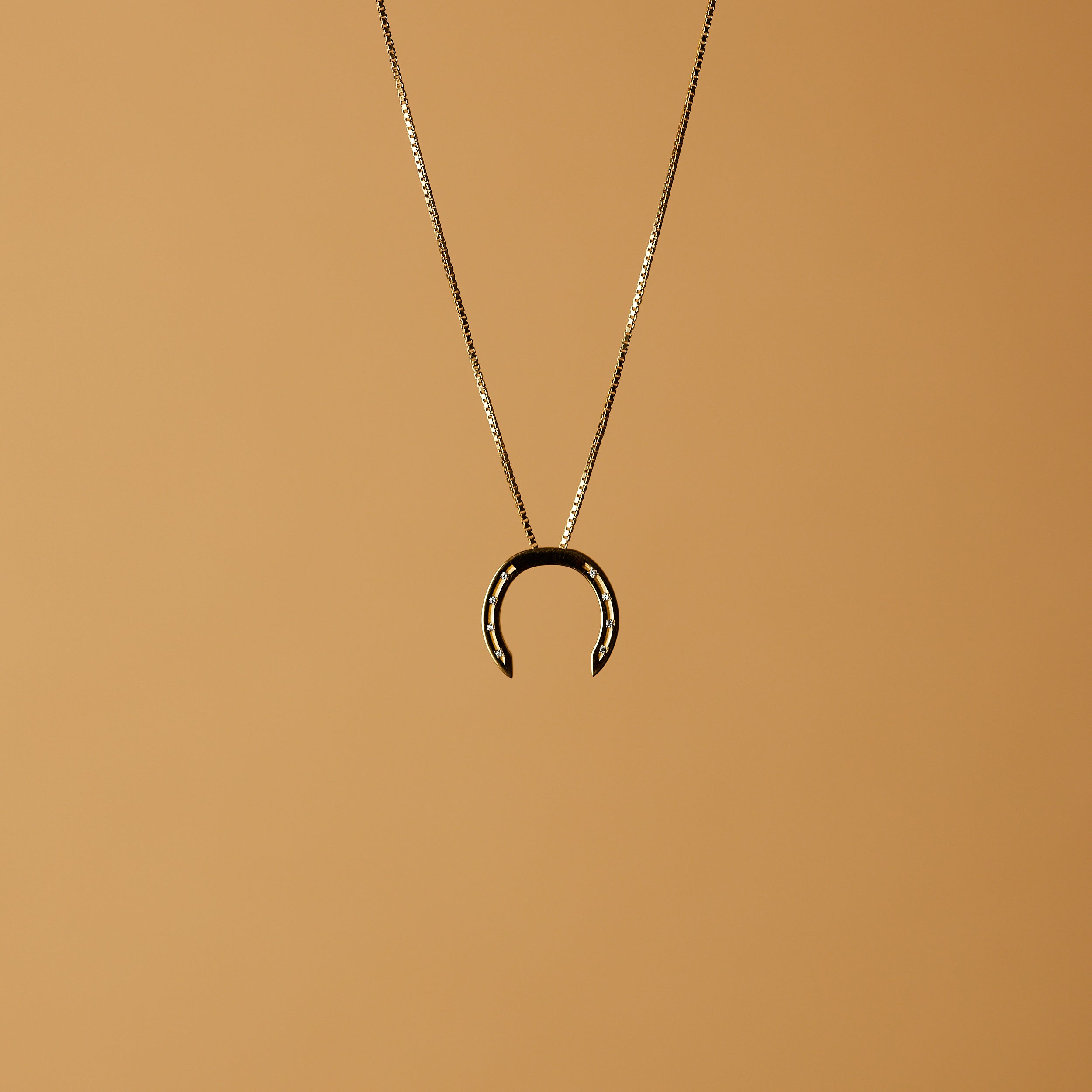 A delicate gold necklace with a horseshoe pendant, featuring small diamonds embedded in the holes, set against a light background.